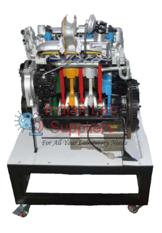 Diesel Engine Anatomy Display Stand